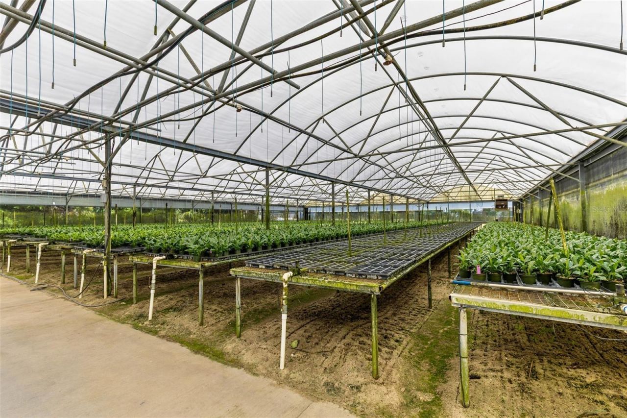 18021 E Apshawa Road , Minneola, FL 34715 Photo