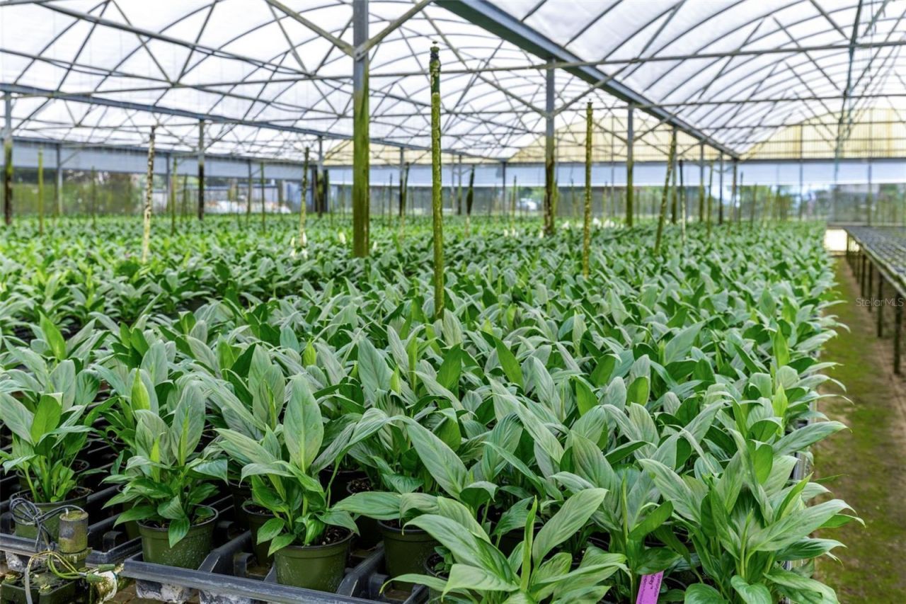 18021 E Apshawa Road , Minneola, FL 34715 Photo