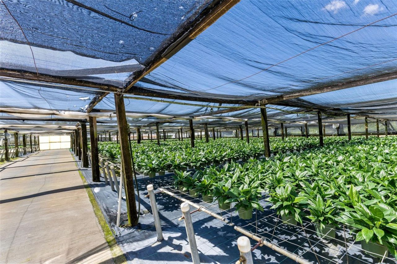 18021 E Apshawa Road , Minneola, FL 34715 Photo