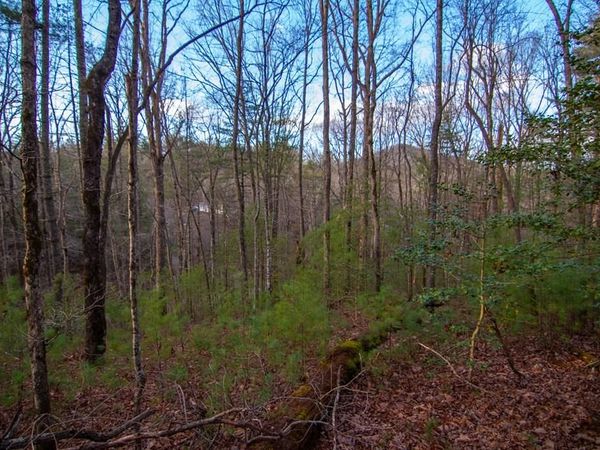 Lot 1 Rock Creek, Cherry Log, GA 30522