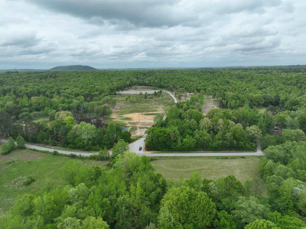 195 Old Springfield Dr , Quitman, AR 72131