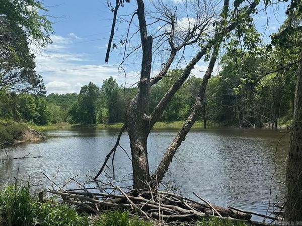 195 Old Springfield Dr , Quitman, AR 72131