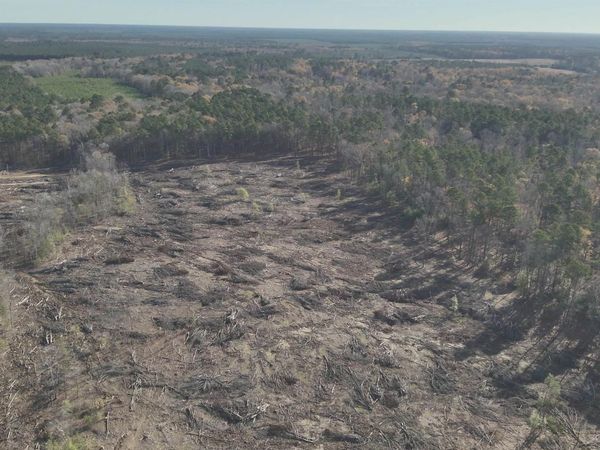 29-14-15 Calhoun CR 3 , Locust Bayou, AR 71744