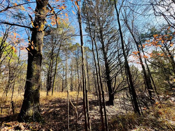 Miracle Temple Road, Byhalia, MS 38611