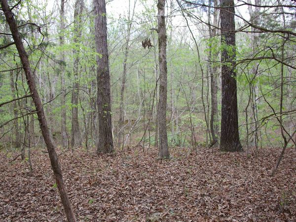 2787 BRYAN RD, Michigan City, MS 38647