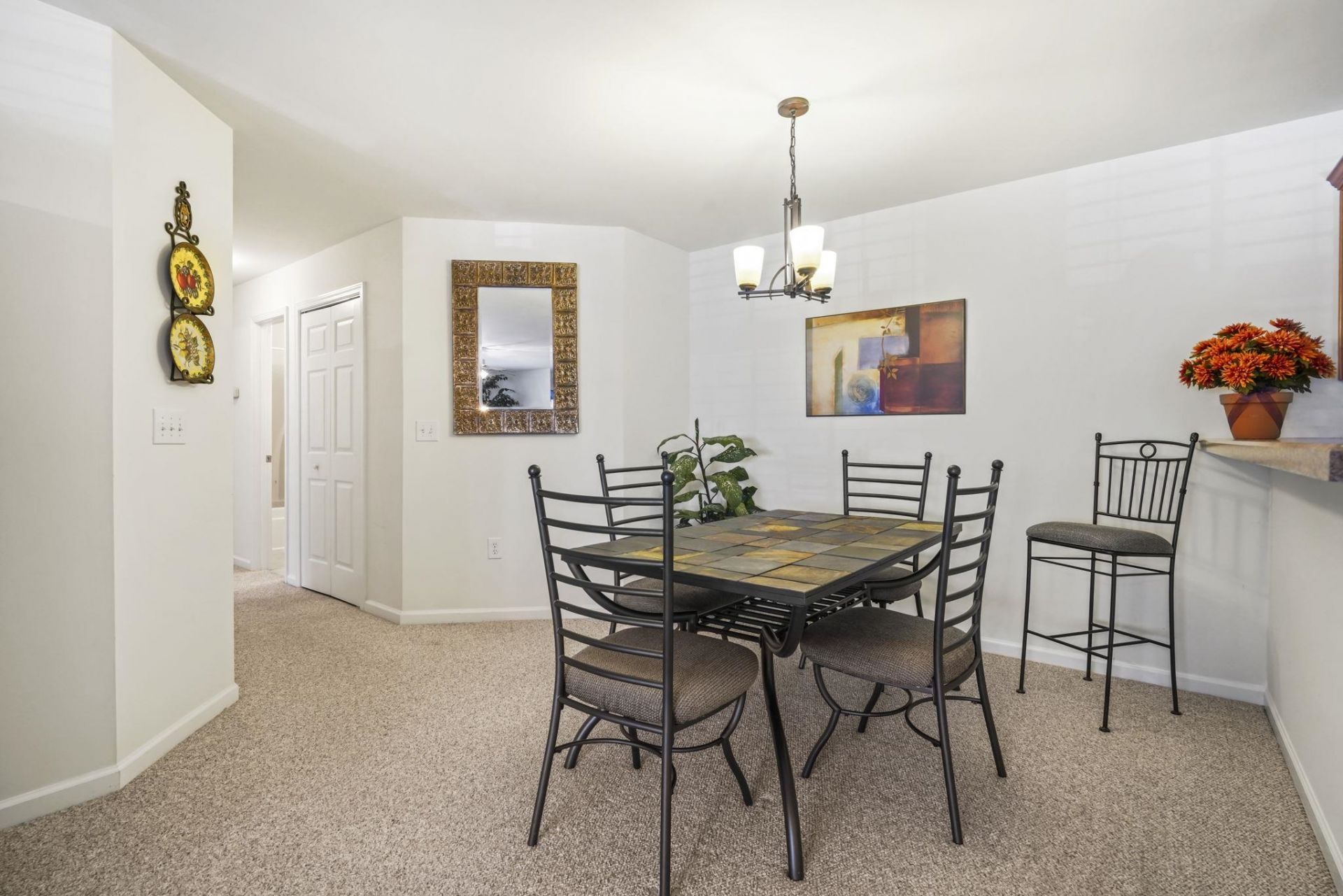 4657 Fringetree Dr.  Photo 13