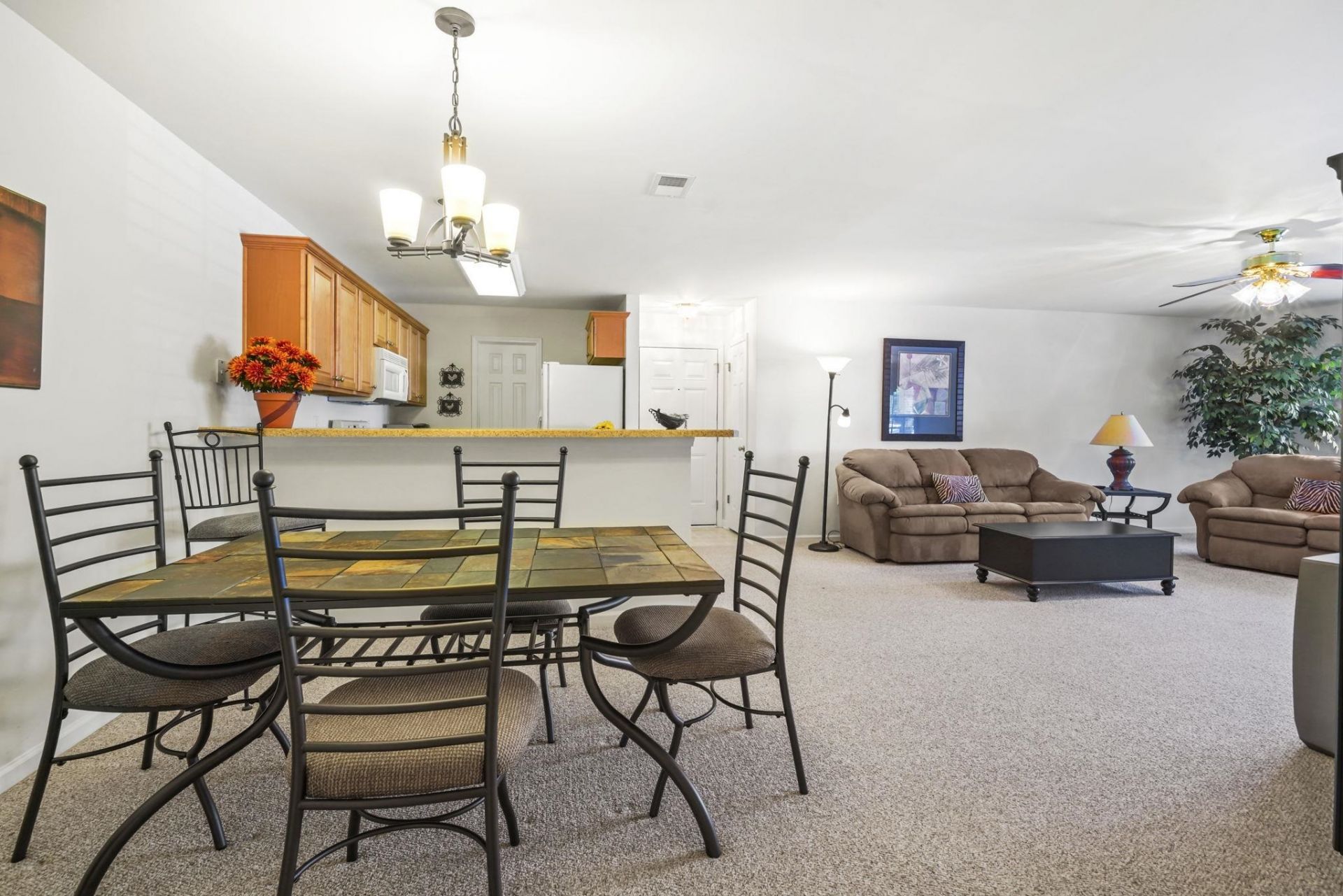 4657 Fringetree Dr.  Photo 14