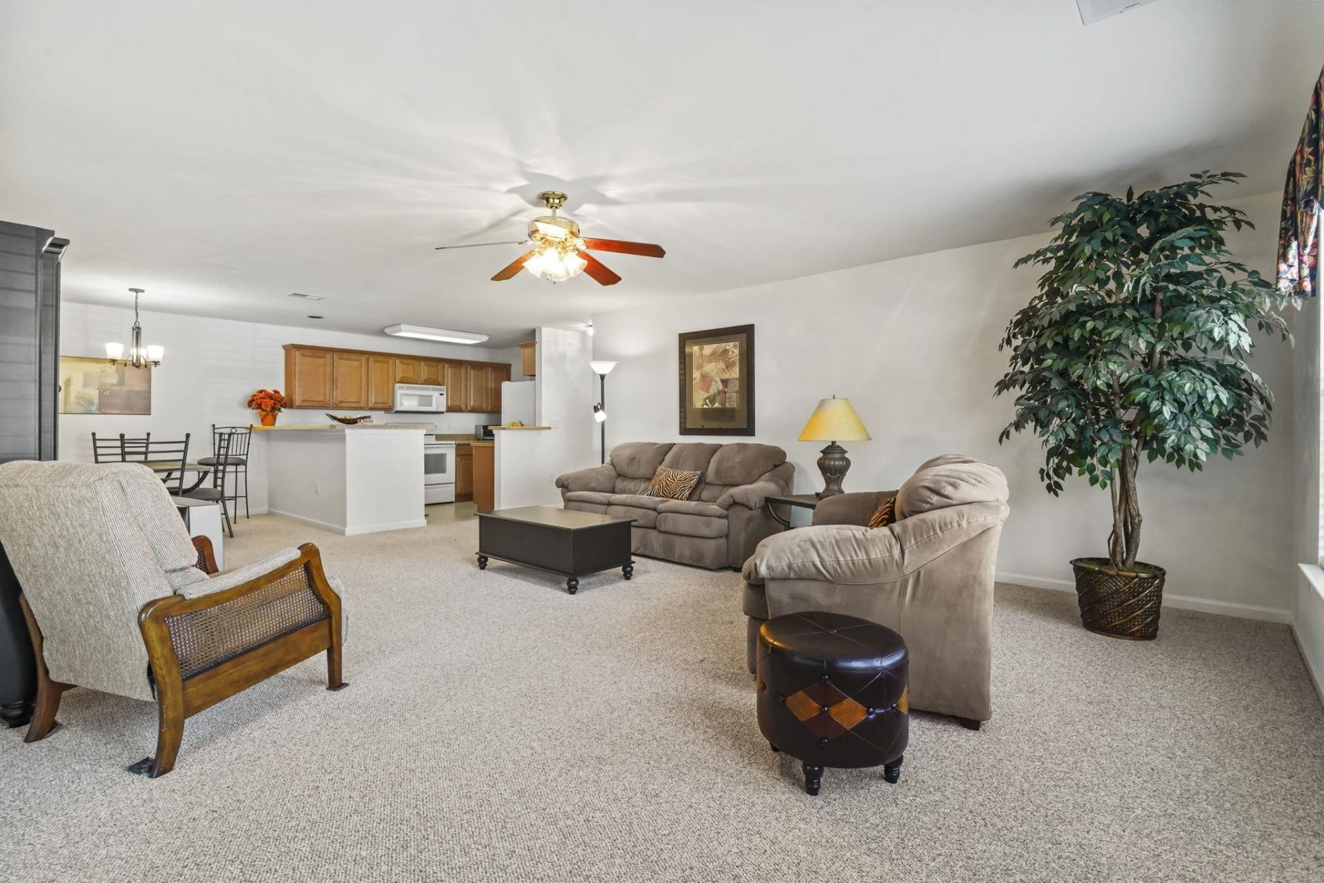 4657 Fringetree Dr.  Photo 5