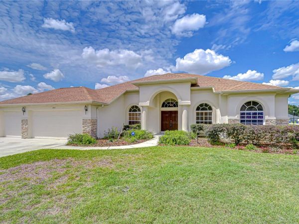 2833 MOSSY TIMBER TRAIL , VALRICO, FL 33596