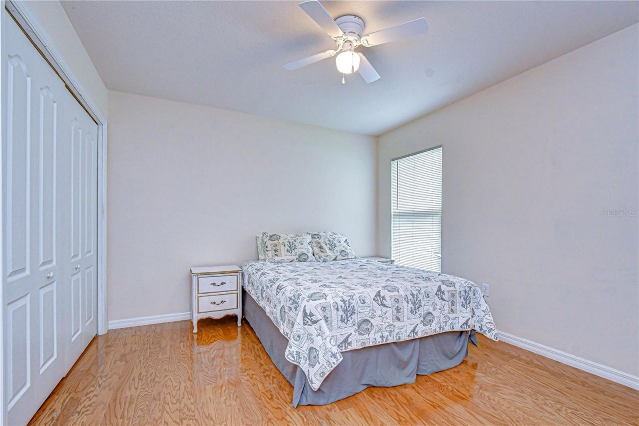 2833 Mossy Timber Trail, Valrico, FL 33596 Photo