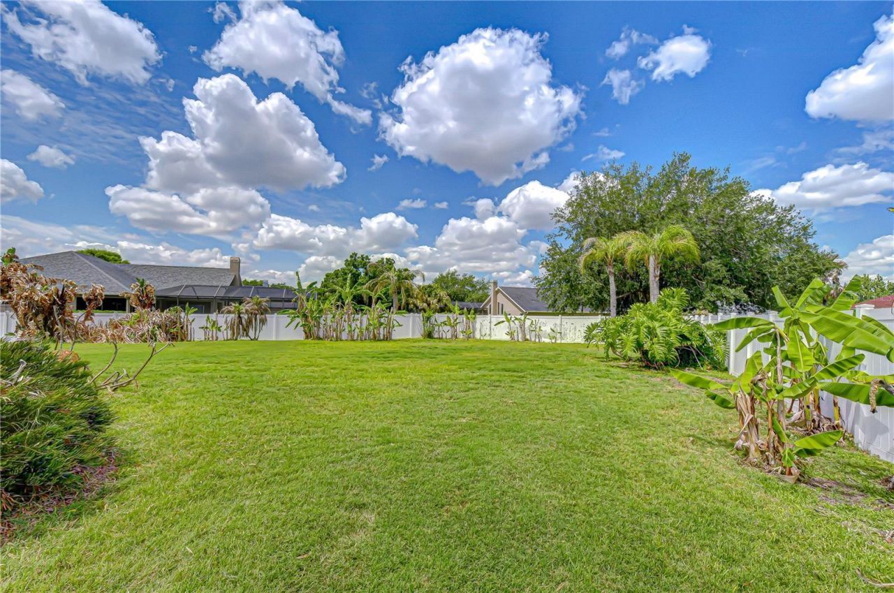 2833 Mossy Timber Trail, Valrico, FL 33596 Photo