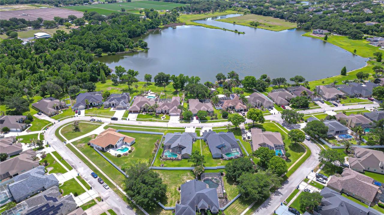 2833 Mossy Timber Trail, Valrico, FL 33596 Photo