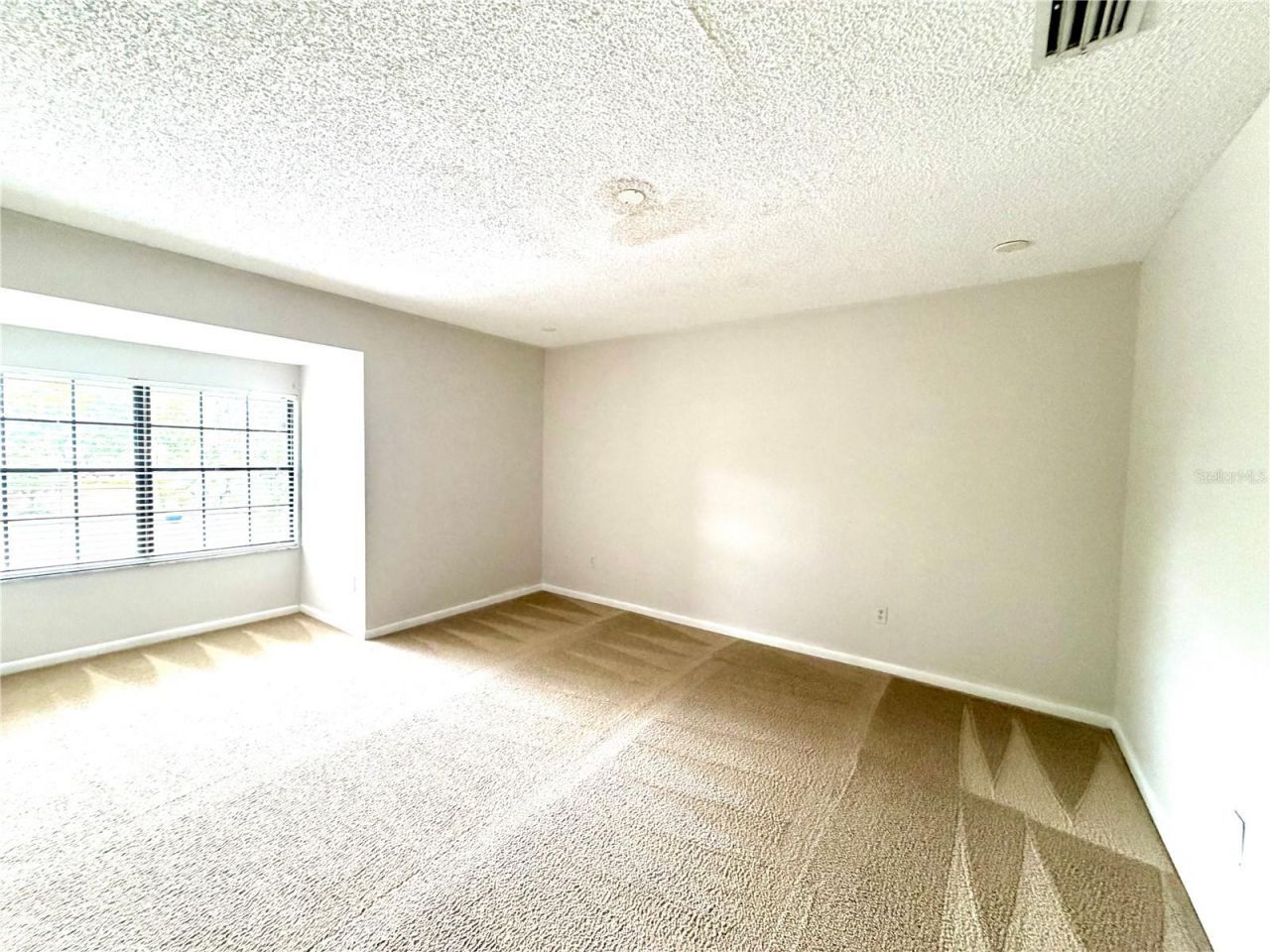 14904 Lake Forest Drive, Lutz, FL 33559 Photo