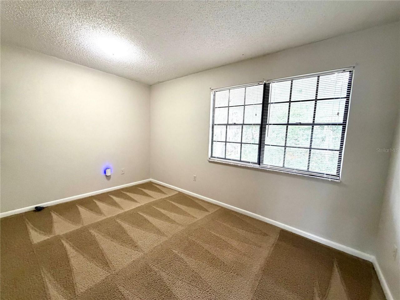 14904 Lake Forest Drive, Lutz, FL 33559 Photo