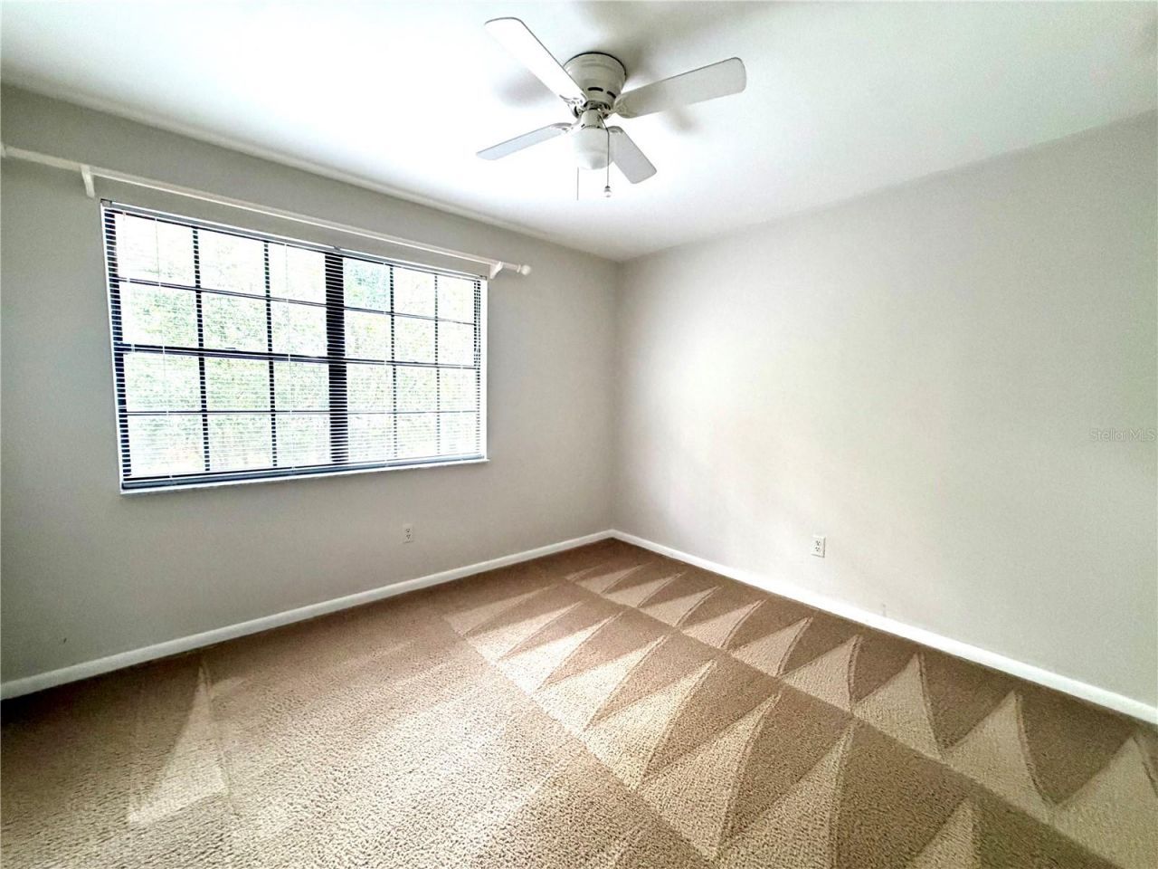 14904 Lake Forest Drive, Lutz, FL 33559 Photo