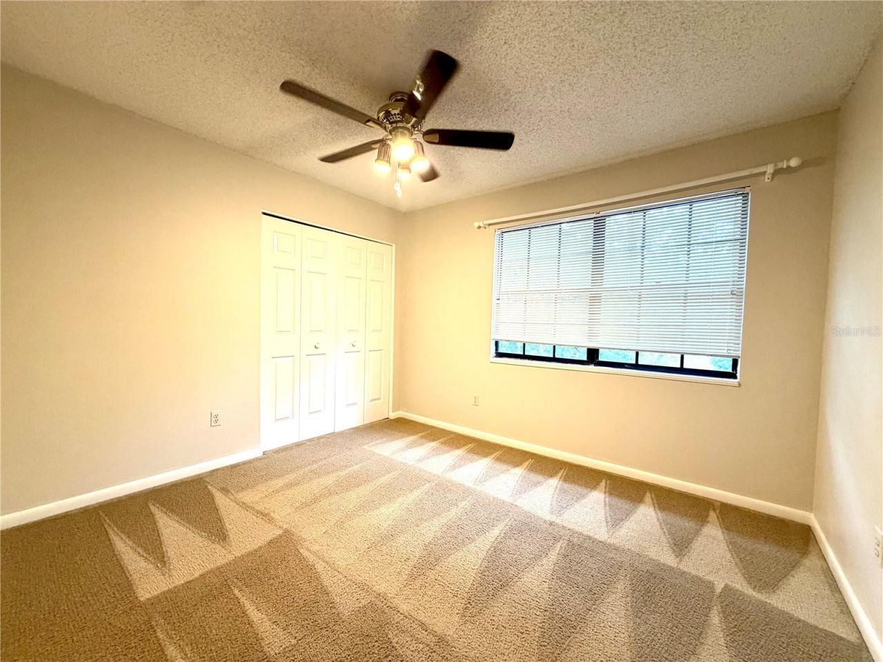 14904 Lake Forest Drive, Lutz, FL 33559 Photo