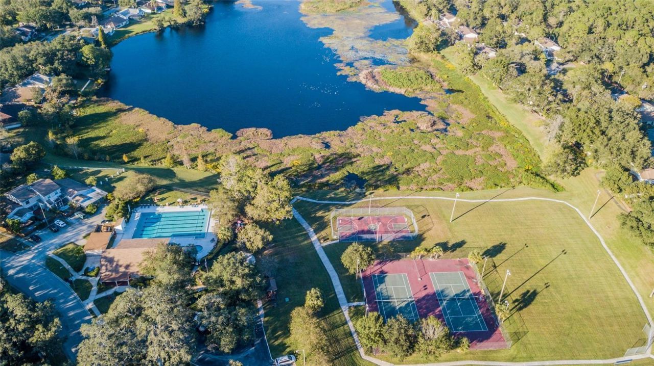 14904 Lake Forest Drive, Lutz, FL 33559 Photo
