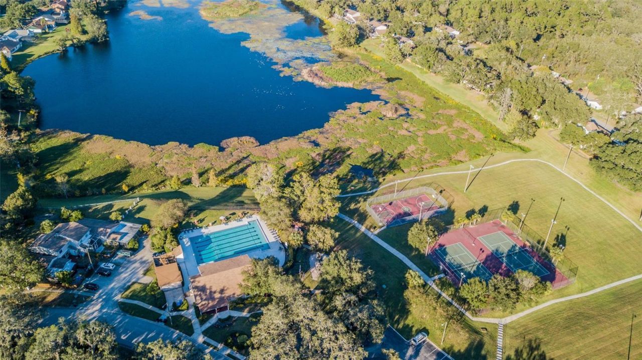 14904 Lake Forest Drive, Lutz, FL 33559 Photo