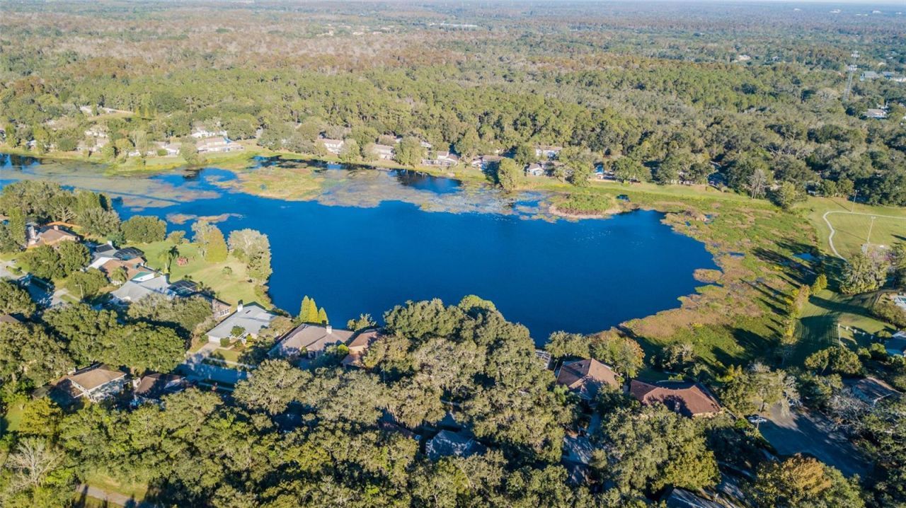 14904 Lake Forest Drive, Lutz, FL 33559 Photo