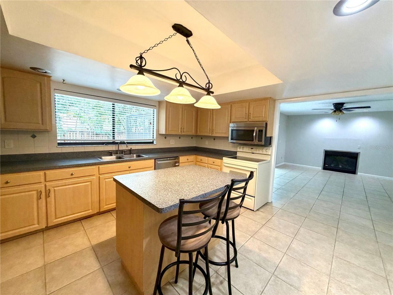 14904 Lake Forest Drive, Lutz, FL 33559 Photo