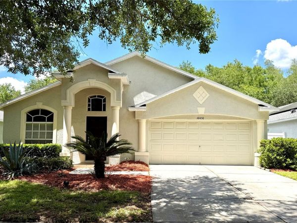 10450 LUCAYA DRIVE , TAMPA, FL 33647