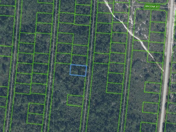 6593 PALANCIA DRIVE , SEBRING, FL 33872