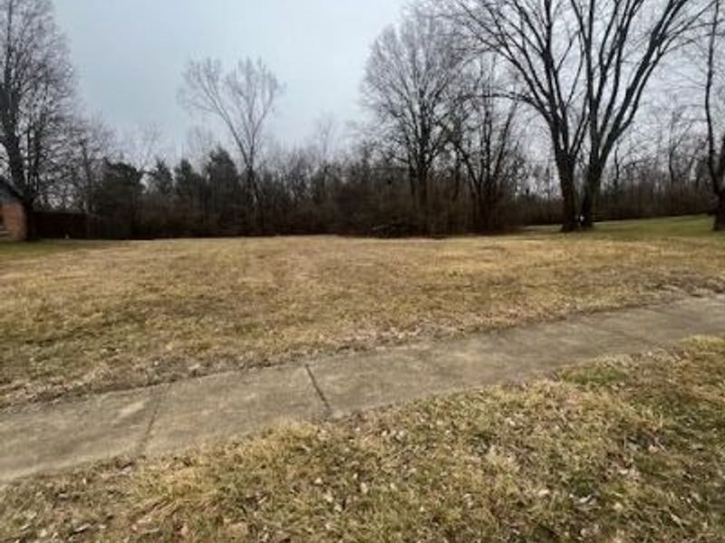 7308 McSmith Lane, Butler Township, OH 45414 Photo 2