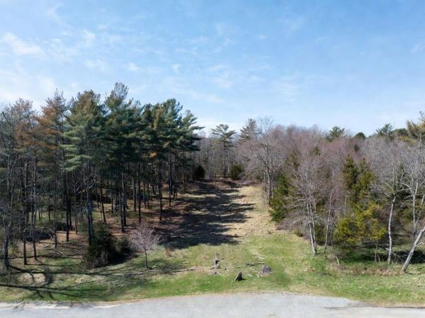 113200 Congdon Road, Wolverine, MI 49799