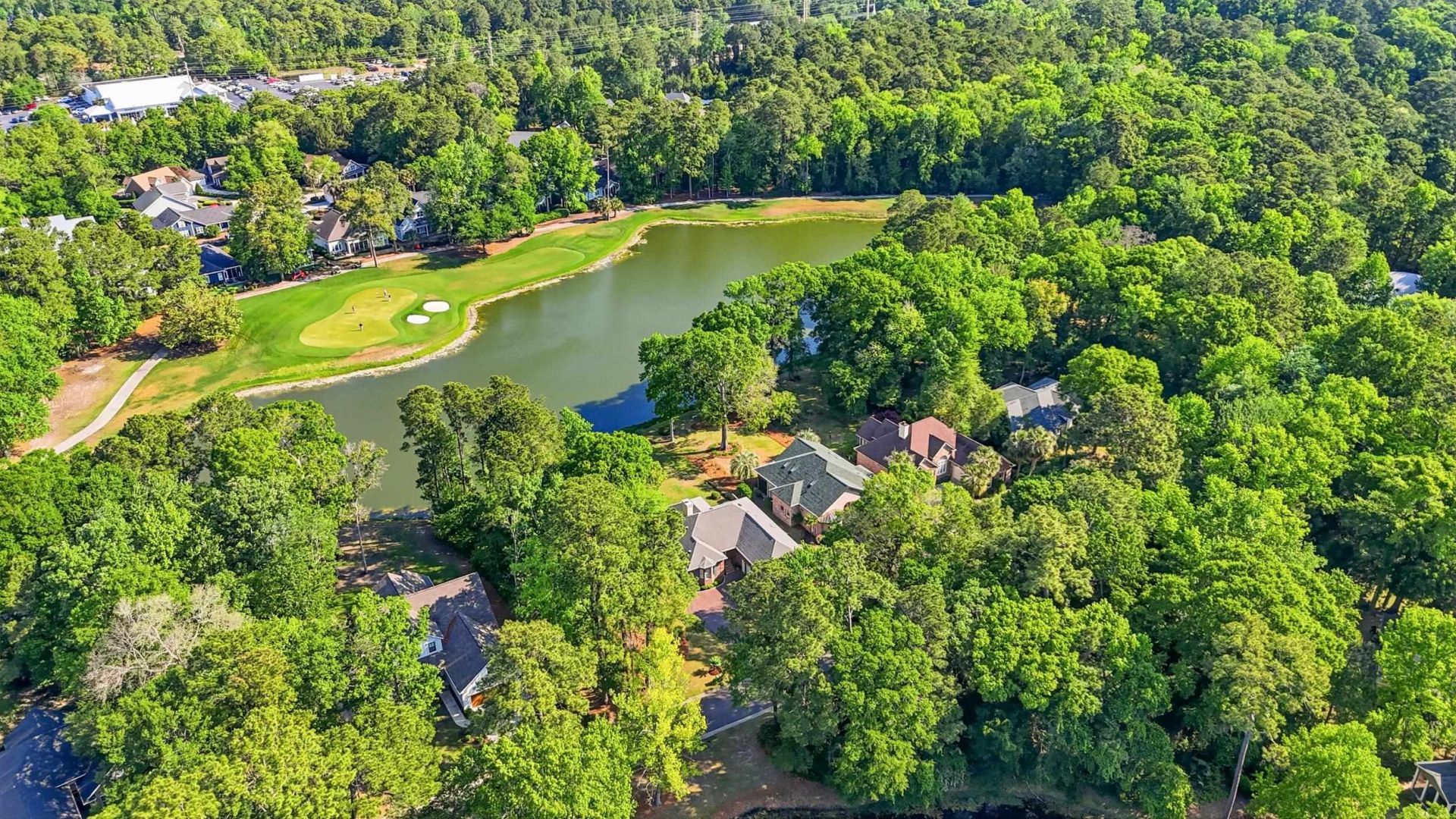 91 Green Wing Teal Ln.  Photo 54