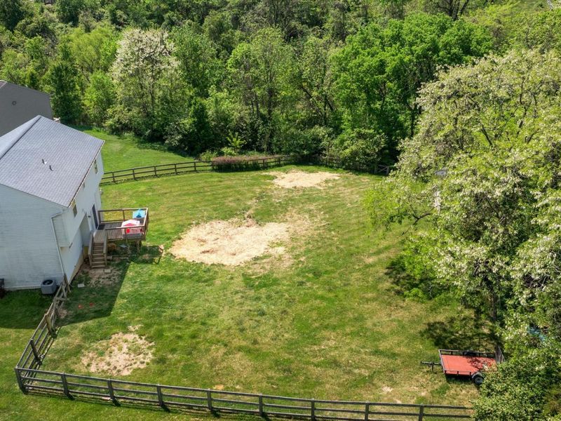 1242 Monocacy Court, Independence, KY 41051 Photo 23