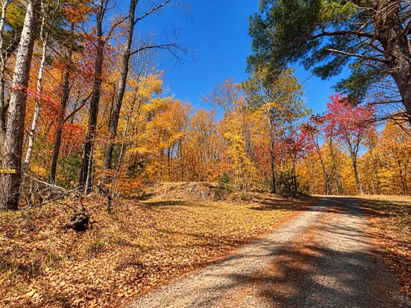 TBD Red Oak Lane, Stone Lake, WI 54876