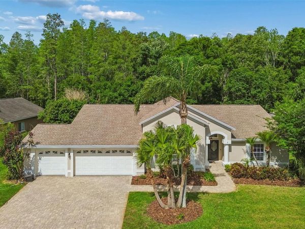 19004 SAINT LAURENT DRIVE, LUTZ, FL 33558