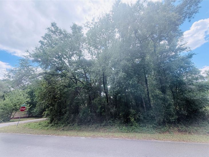 Tbd NW 20th St, Ocala, FL 34482