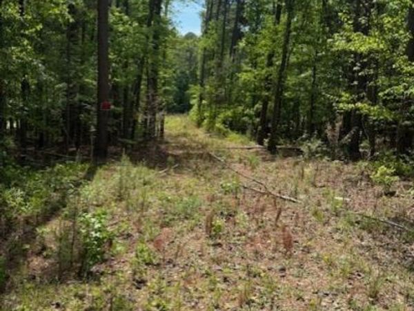 580 DUTCHMAN Road, Griffin, GA 30223