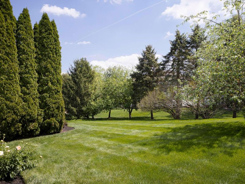 7033 Cunningham Drive, New Albany, OH 43054 Photo 53