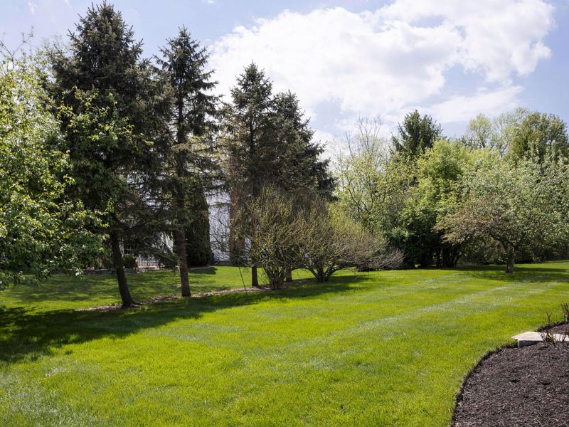 7033 Cunningham Drive, New Albany, OH 43054 Photo 55