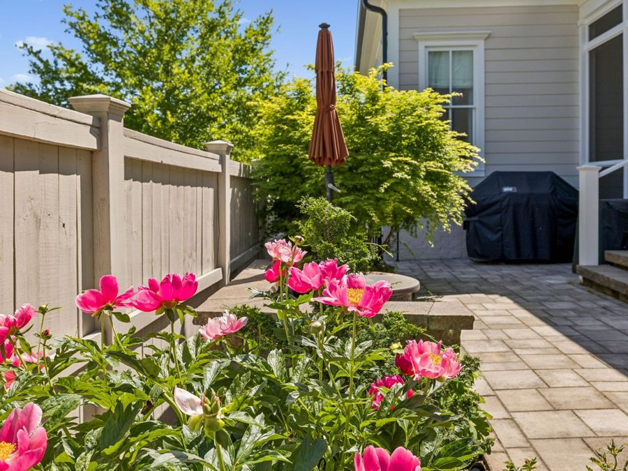 Property Image 81
