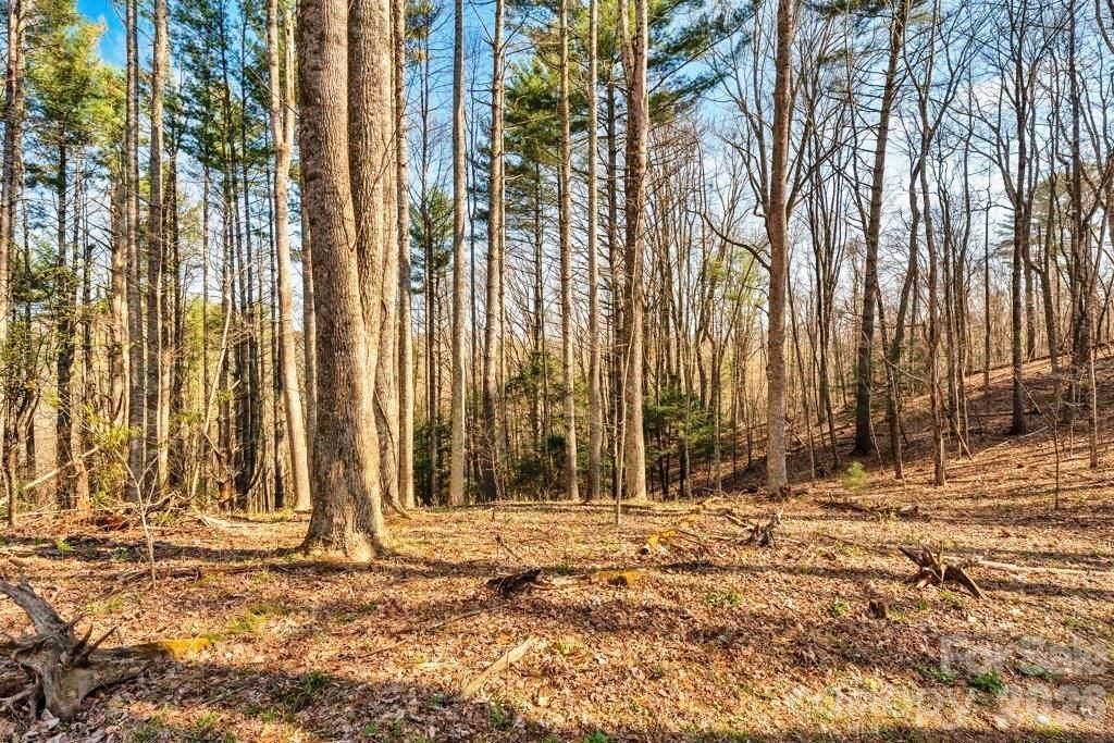 Tbd Private Drive, Sugar Grove, NC 28679 Main Photo