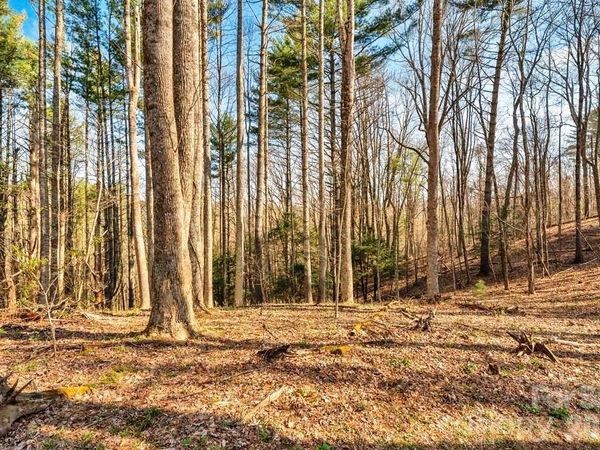 tbd Private Drive, Sugar Grove, NC 28679