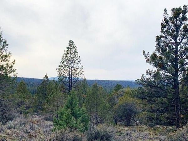 0 Widgeon Drive, Unit Lots 1, 2 , Bonanza, OR 97623