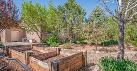 1118 Chantel Drive, Minden, NV 89423 Photo