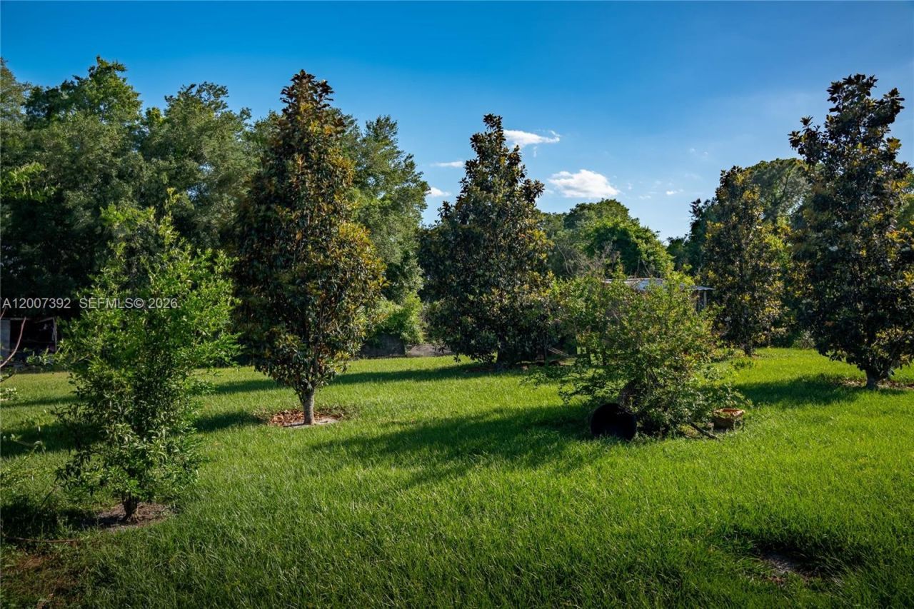 6924 Holly Creek Rd , Orlando, FL 32798 Photo