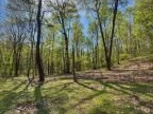 LOT OLD DANVILLE Highway , Northumberland, PA 17857