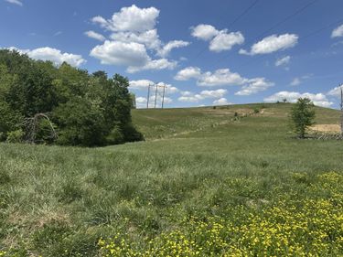 1090 Pittsburg Landing , Unit Tract 30, London, KY 40741