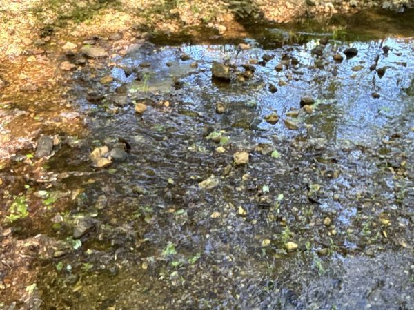 370 Pleasant Hill Road, Rockmart, GA 30153