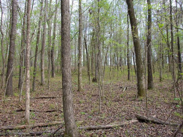780 BREEDLOVE RD, Michigan City, MS 38647
