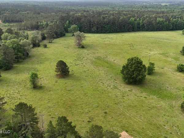 Sulphur Springs Road, Lot 7 , Canton, MS 39046