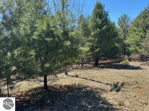 Torch Lake Drive SE, Bellaire, MI 49615