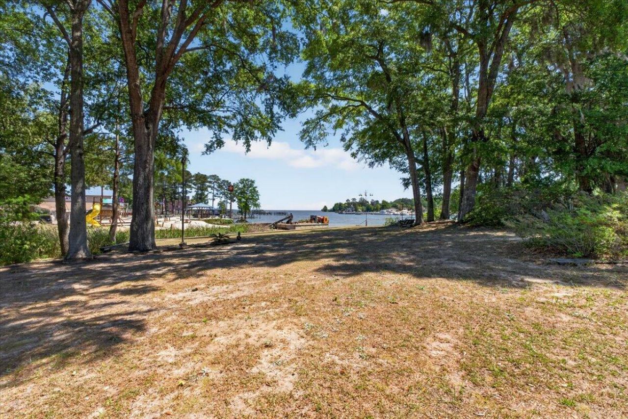 138 Lake Marion Lane Photo 30