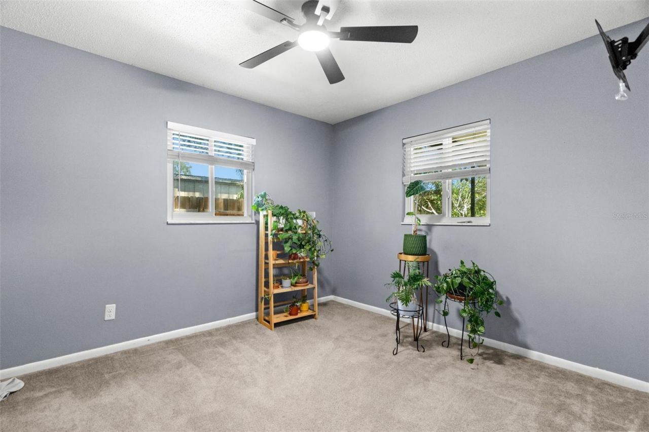 8173 55th Street N, Pinellas Park, FL 33781 Photo
